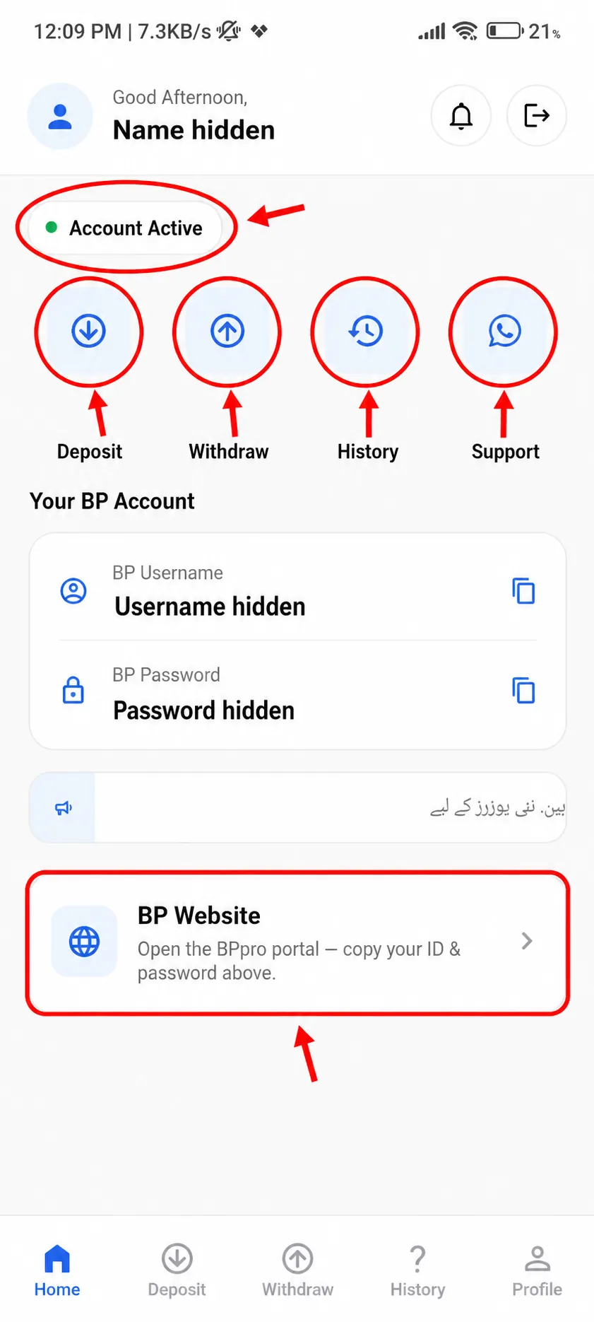 BetPro Wallet login screen
