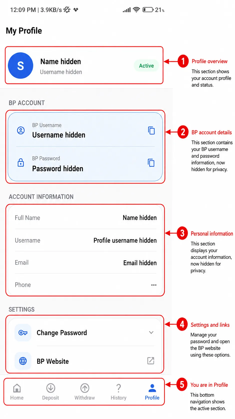 BetPro Wallet transaction screen